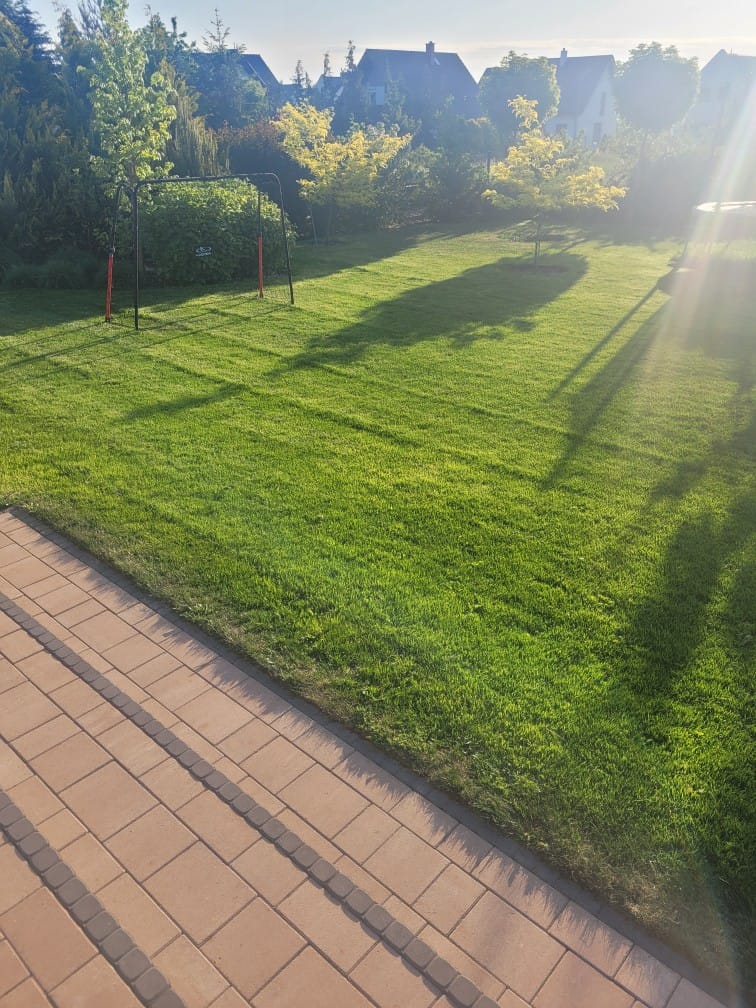 WhatsApp Image 2026-01-28 at 17.10.48